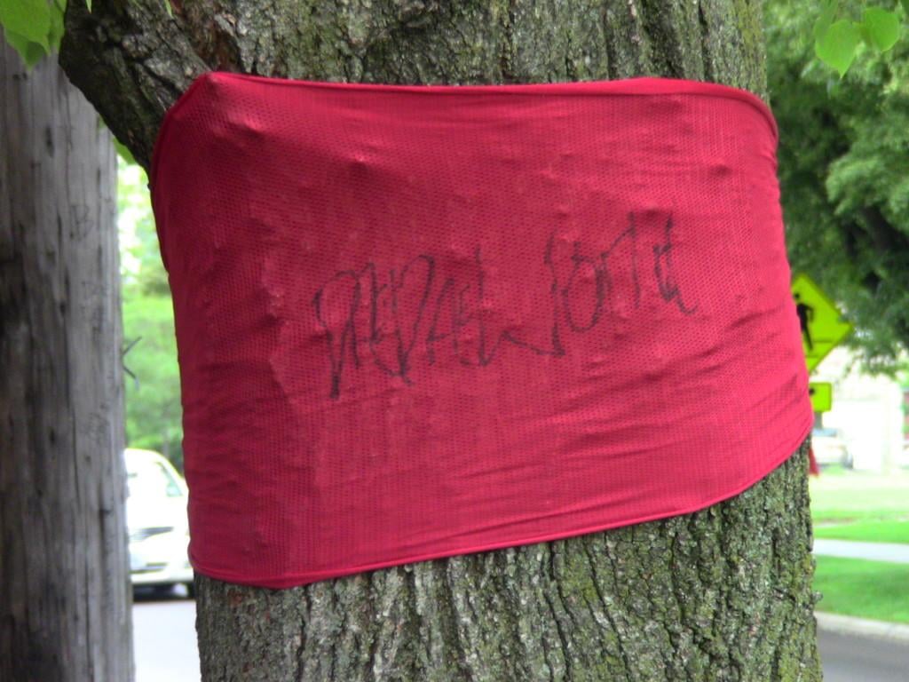 Evanston residents paid tribute Saturday to Dajae Coleman, a 14-year-old boy who was killed in the 1500 block of Church Street. Dae Dae World is written on a red cloth on a tree near the site of the fatal shooting last fall.