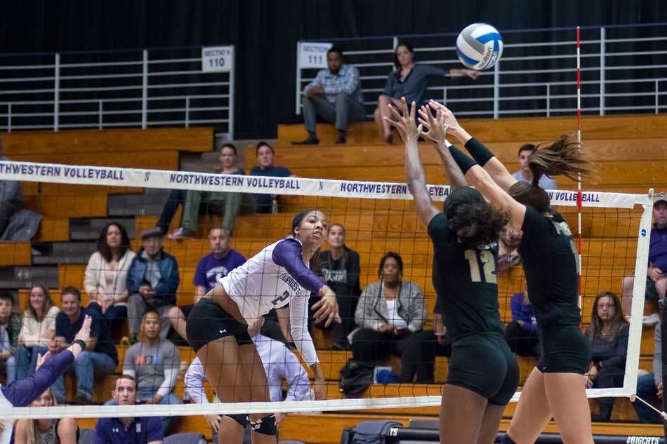 Volleyball: Northwestern Knocks Off No. 9 Illinois In Intense Five-set ...