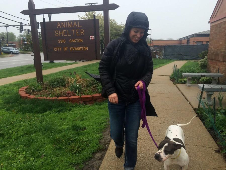 City Council unanimously approved the nonprofit Evanston Animal Shelter Association to take over the shelter June 1. The city has operated the shelter for the past year. 