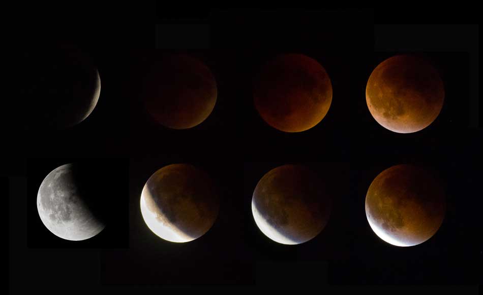 Northwestern hosts lunar eclipse viewing party