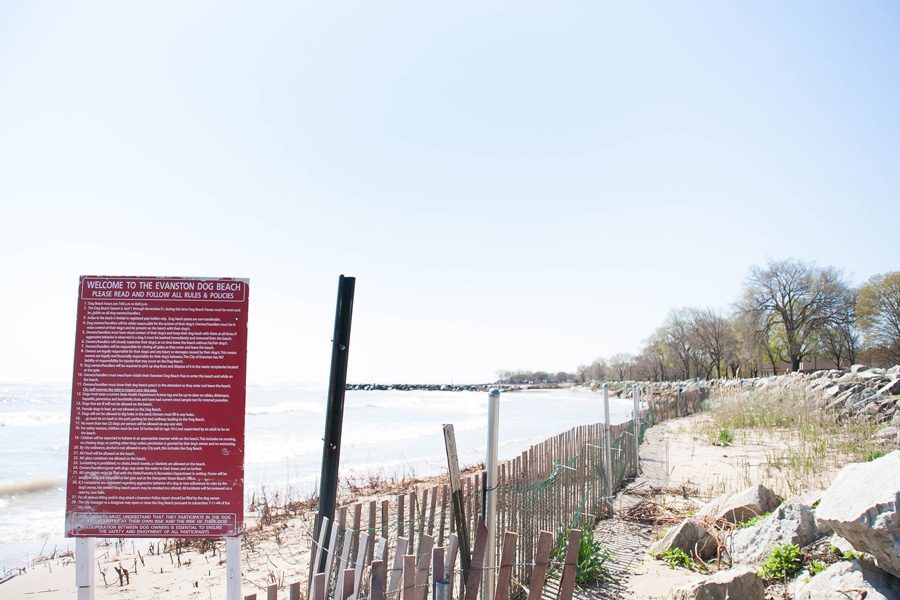 The+Evanston+Dog+Beach+is+one+of+six+Evanston+beaches.+Employee+hours+at+the+beaches+may+be+reduced+next+summer+if+the+state+withholds+funding+from+Evanston+and+other+municipalities.+