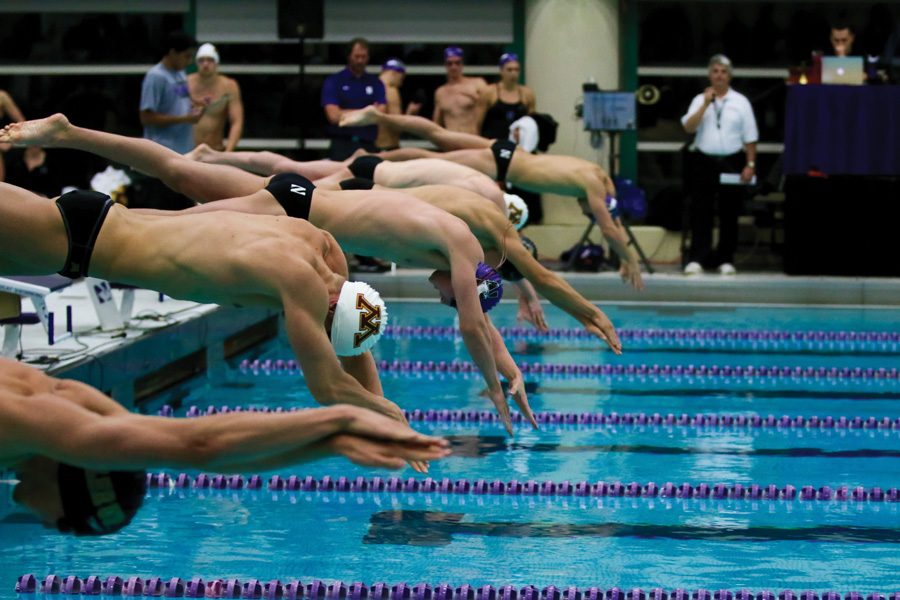Will Hofstadter dives into the pool. The sophomore was one of Northwestern’s more successful swimmers against Iowa.