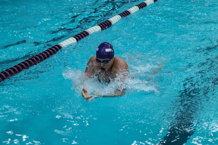 Sophie Angus swims. The freshman and the Wildcats lost to Georgia and Georgia Tech over the weekend. 