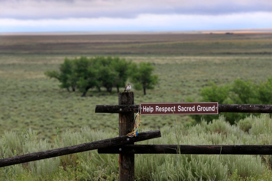 A bird rests on a fence post overlooking the area of where the massacre took place at sunrise at the Sand Creek Massacre National Historic Site on June 29, 2016 near Eads, Colorado. Northwestern commemorated the 154th anniversary of the massacre.