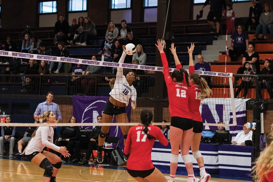 Nia Robinson strikes a volleyball. The sophomore outside hitter led the team in kills.