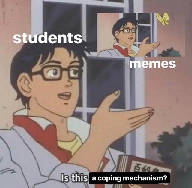 Meme culture thrives at Northwestern, helping students form community
