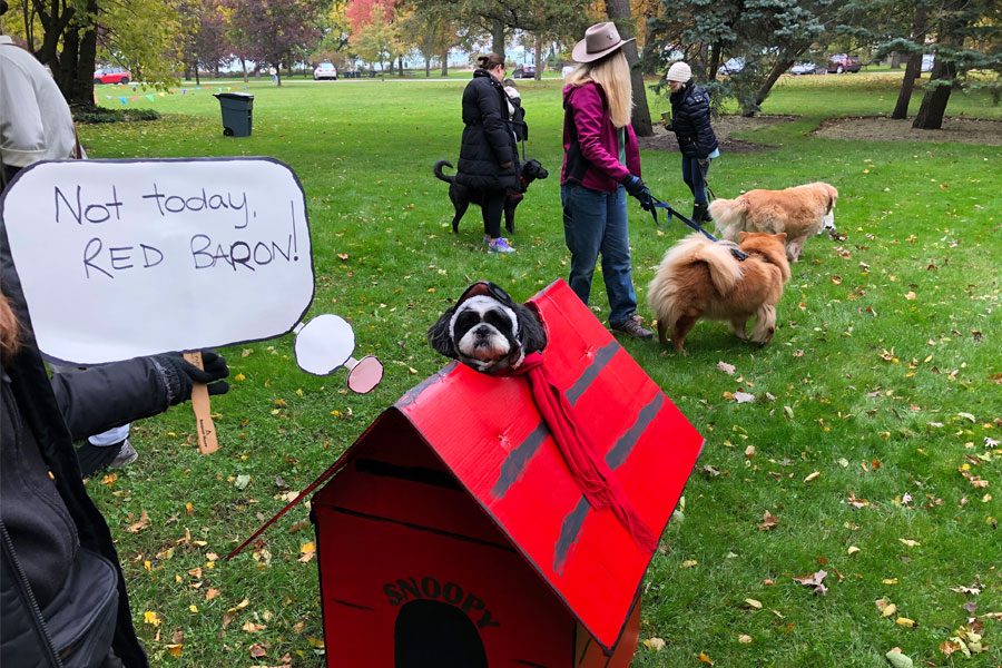 Roy, dressed as Snoopy the Flying Ace, poses after winning the grand prize at the Trot for Tails costume contest. Those attending the contest raised over $30,000 for the Evanston Animal Shelter.