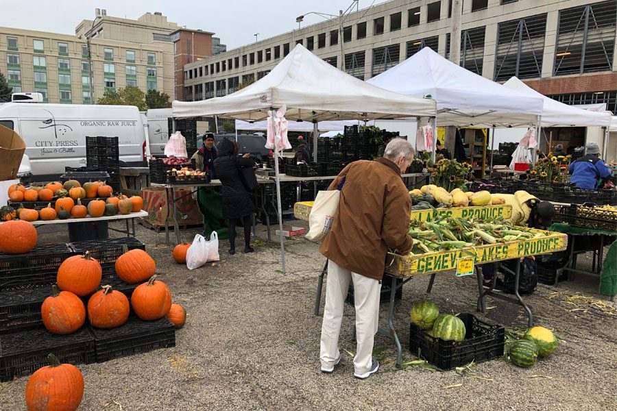 Evanston locals and vendors examine and move the produce and pumpkins available at the Downtown Evanston Farmers’ Market. Many such pumpkins were decorated and taken home by the children and families attending Fall Fest.