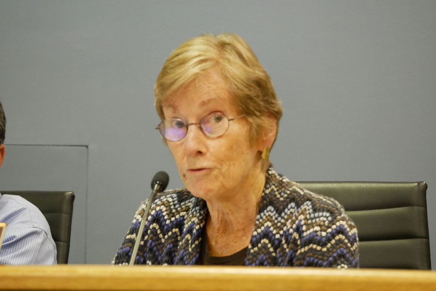 Ald. Eleanor Revelle (7th). City Council introduced a slew of ordinances as the city prepares to pass its 2020 budget.