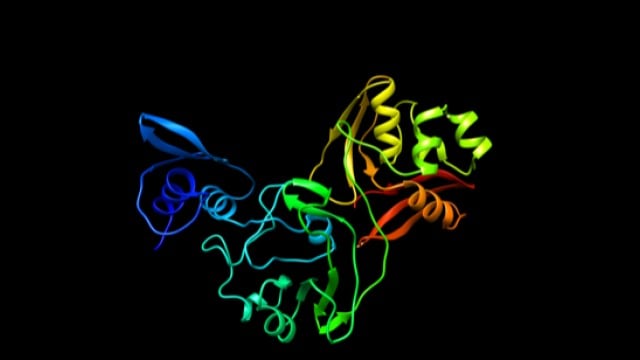 Nsp15, the newly mapped COVID-19 protein that aids in the virus’s replication.