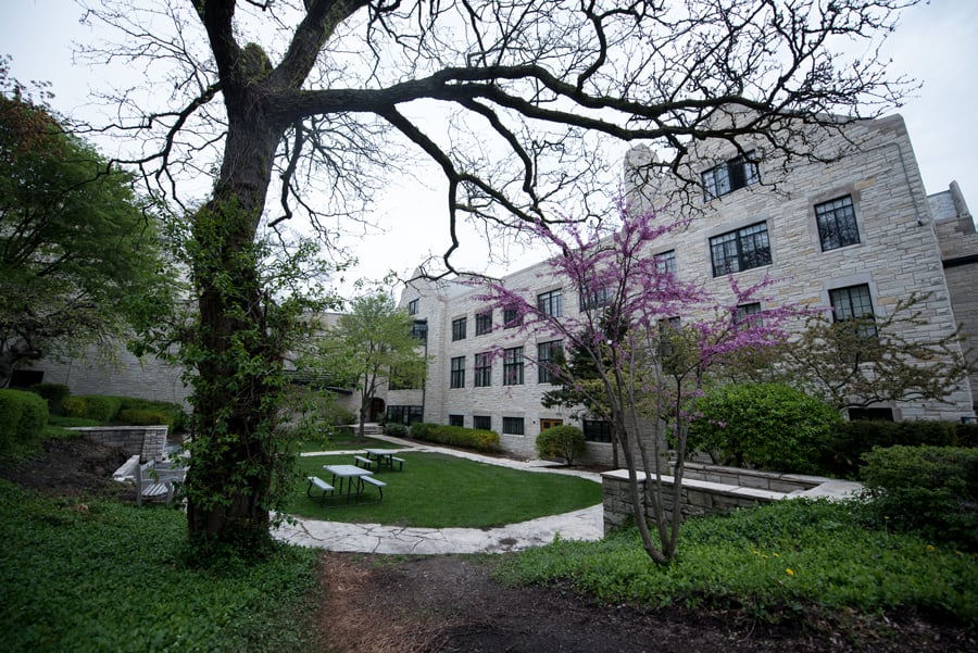 A white building is situated on the right side of the photo, surrounded by greenery. In the foreground, there are trees with branches that extend into the corners of the photo.