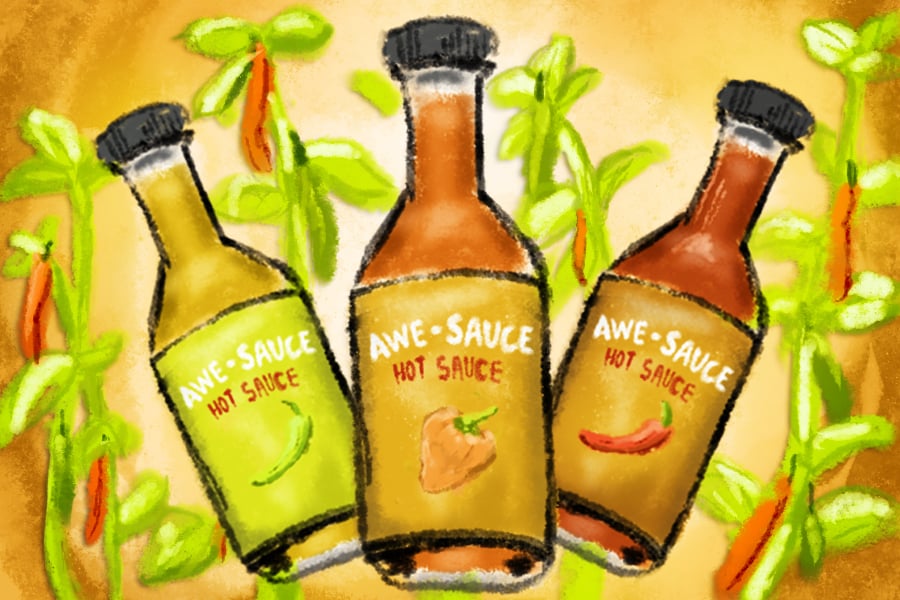 Two bottles of orange hot sauce and one bottle of a yellow-green hot sauce, all with labels that say “Awe-Sauce Hot Sauce” with a pepper below. The background is filled with red peppers hanging from green plants.