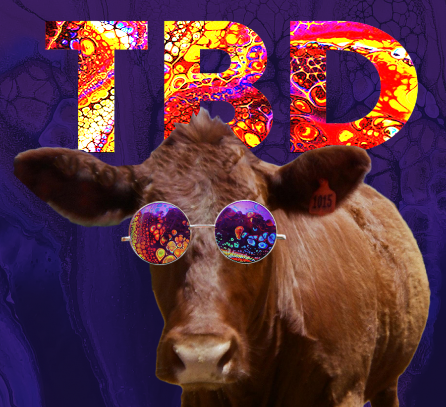 TBD’s promotional poster. TBD is Northwestern’s neo-futurism-inspired performance group.