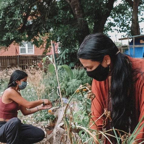 Two women wearing black masks tend to plants at a garden plot.