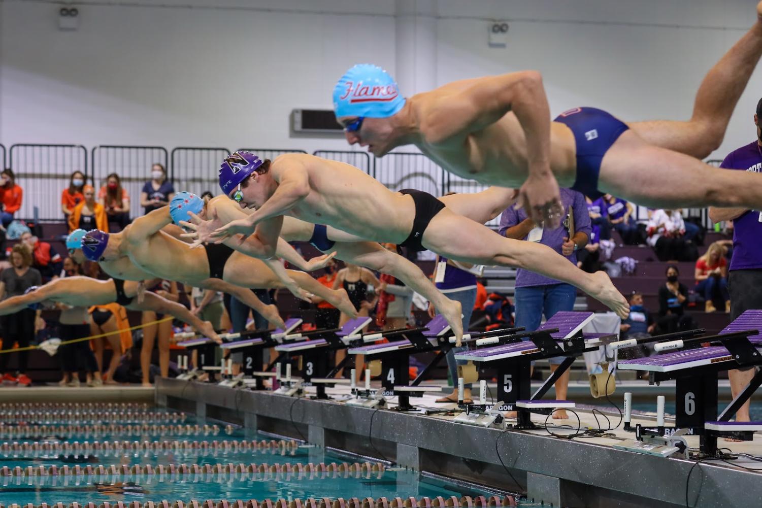 Several swimmers fly through the air toward the pool from the starting blocks. 