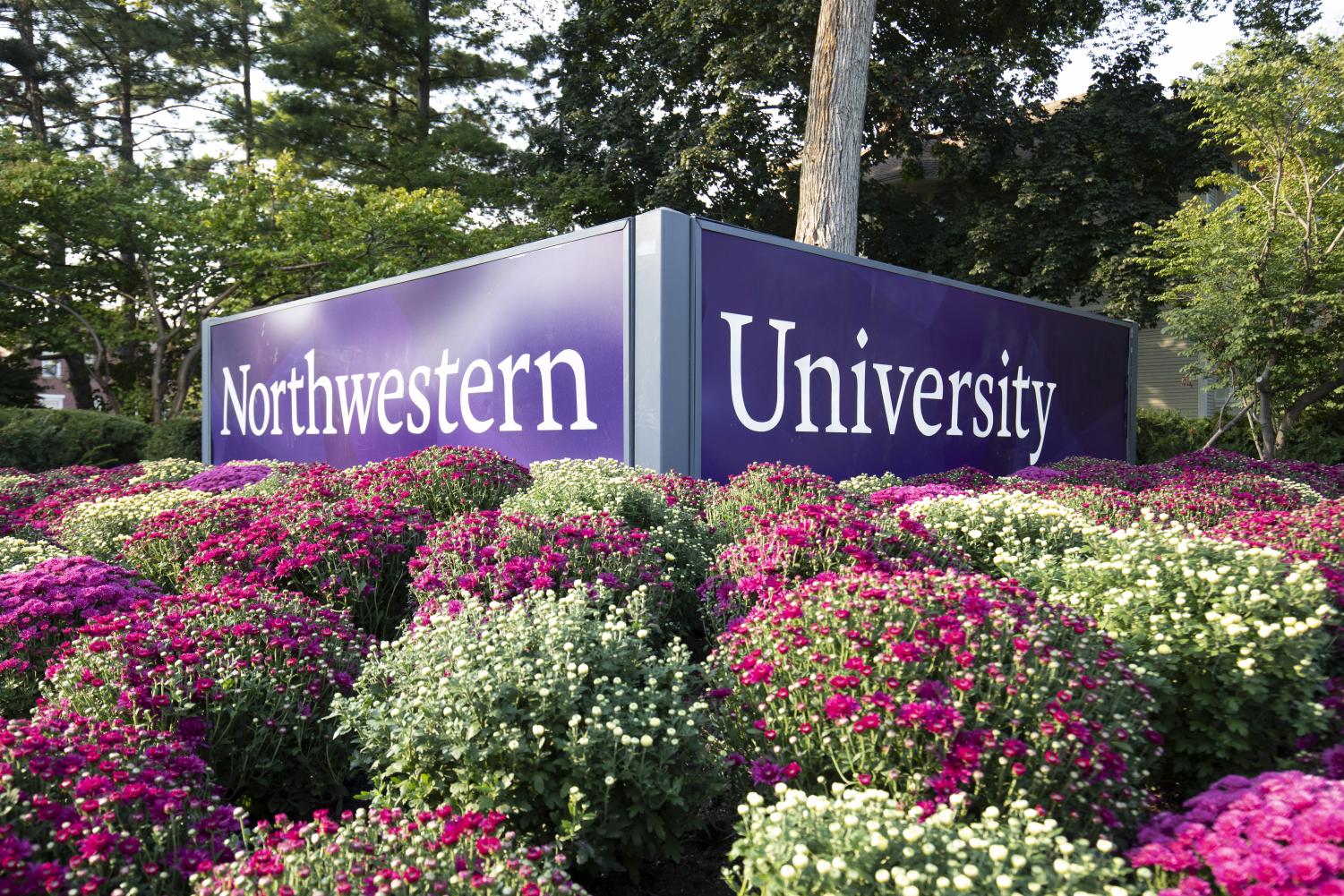 A+large+Northwestern+University+sign+sits+amid+pink+and+white+flowers.