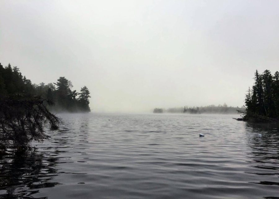 A misty lake in black and white surrounded by dark shadows of trees disappears into a misty sky while a sole empty bottle bobs in the middle of the lake. 