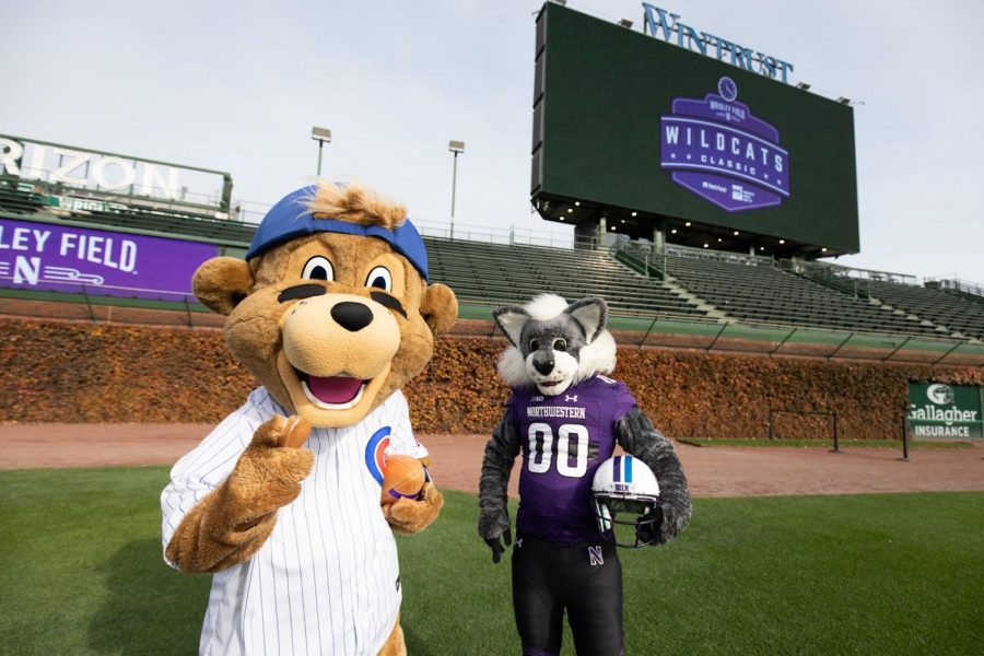 A bear mascot points toward the camera holding a football, with a wildcat mascot behind wearing purple and holding a white football helmet. 