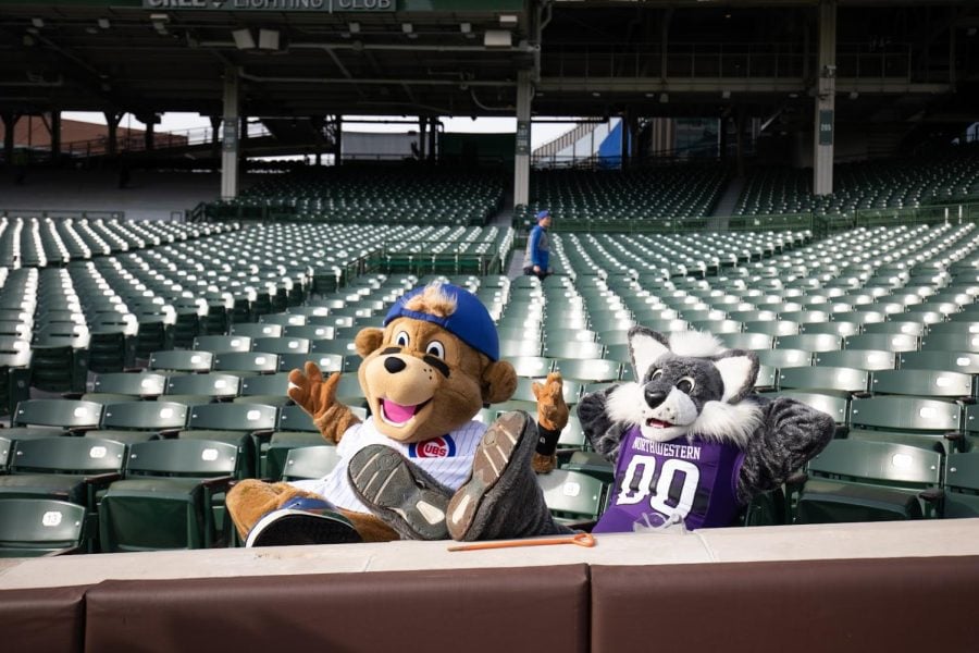 A wildcat and bear mascot lean back in green seats with their legs on a railing. 