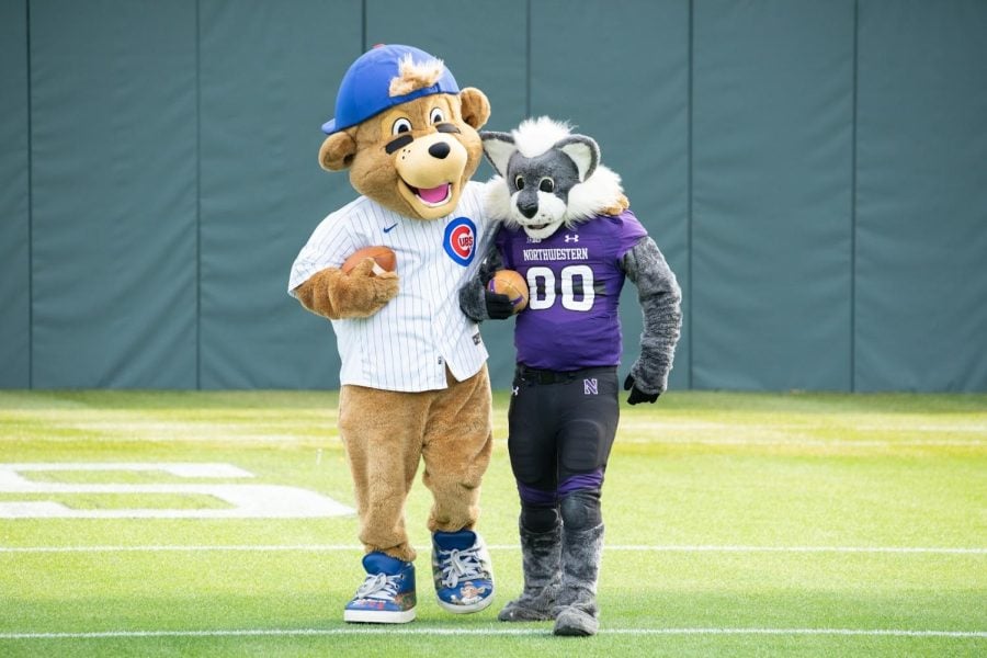 A bear mascot with his arm around a wildcat mascot walks on a football field, both carrying a football. 