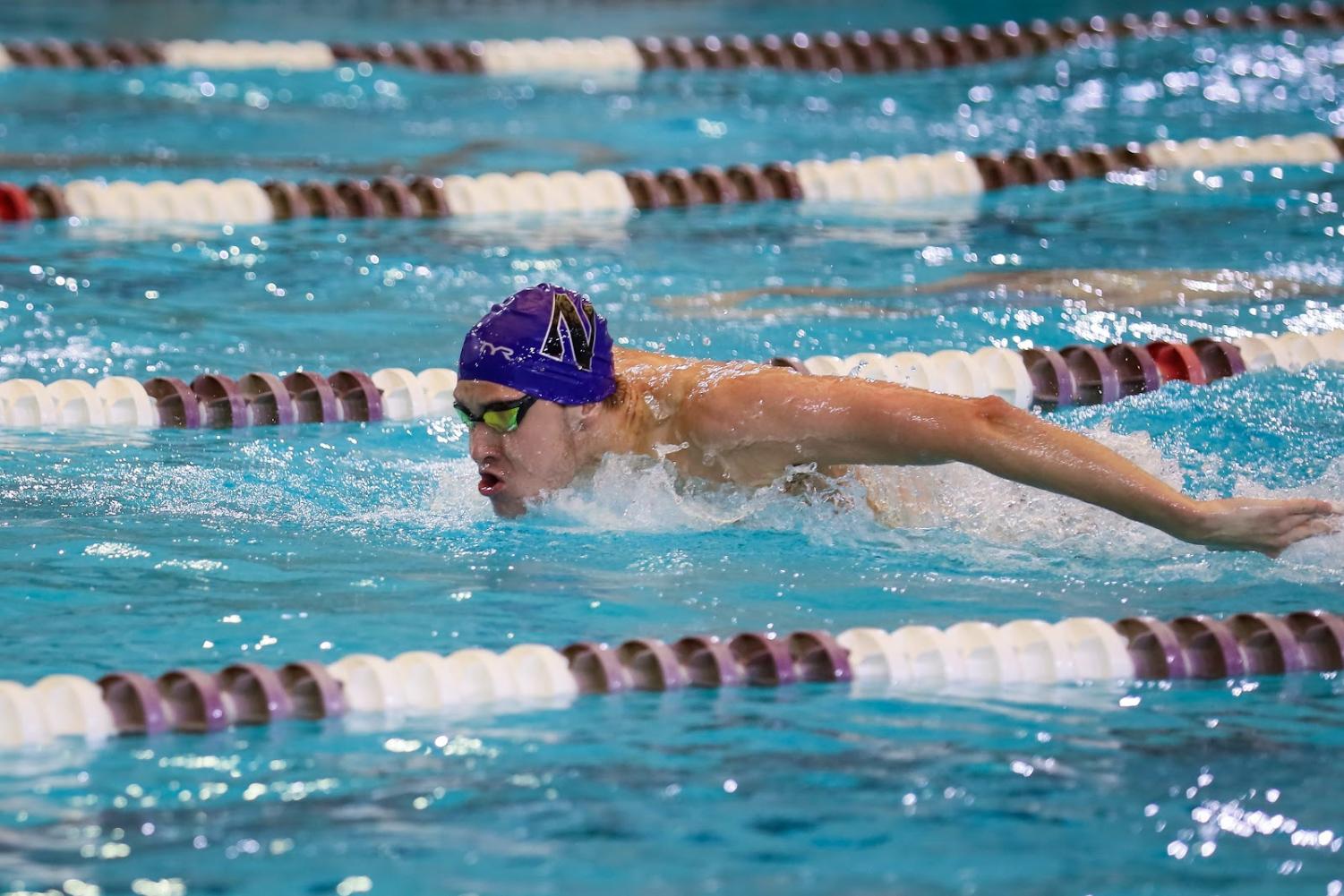 A+swimmer+in+a+purple+cap+with+an+%E2%80%9CN%E2%80%9D+on+it+swims+butterfly+in+a+pool.