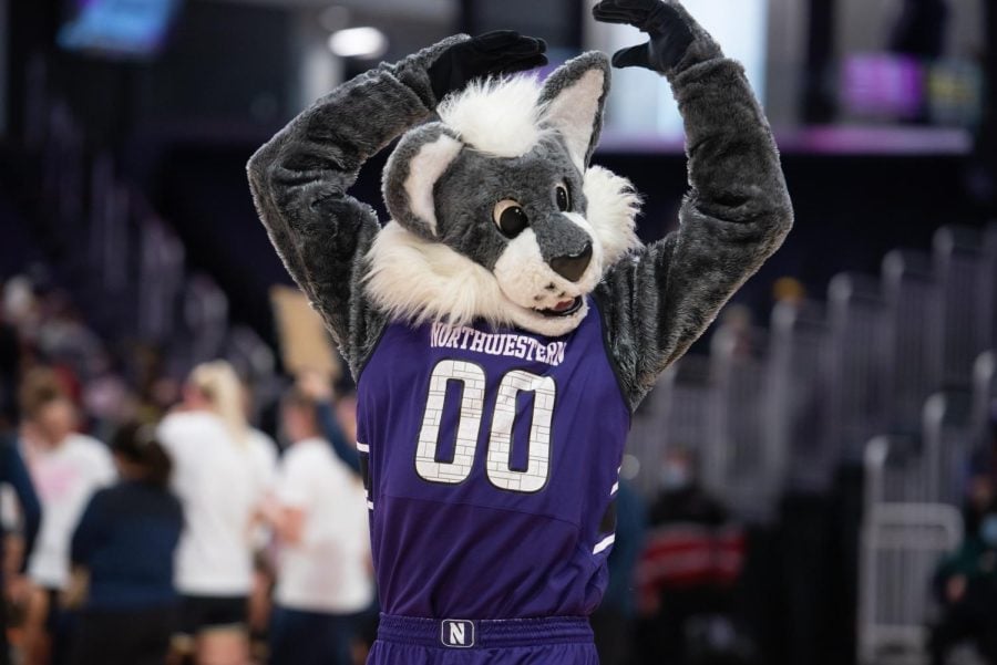 A person in a cat mascot costume and a purple jersey raises their hands over their head.