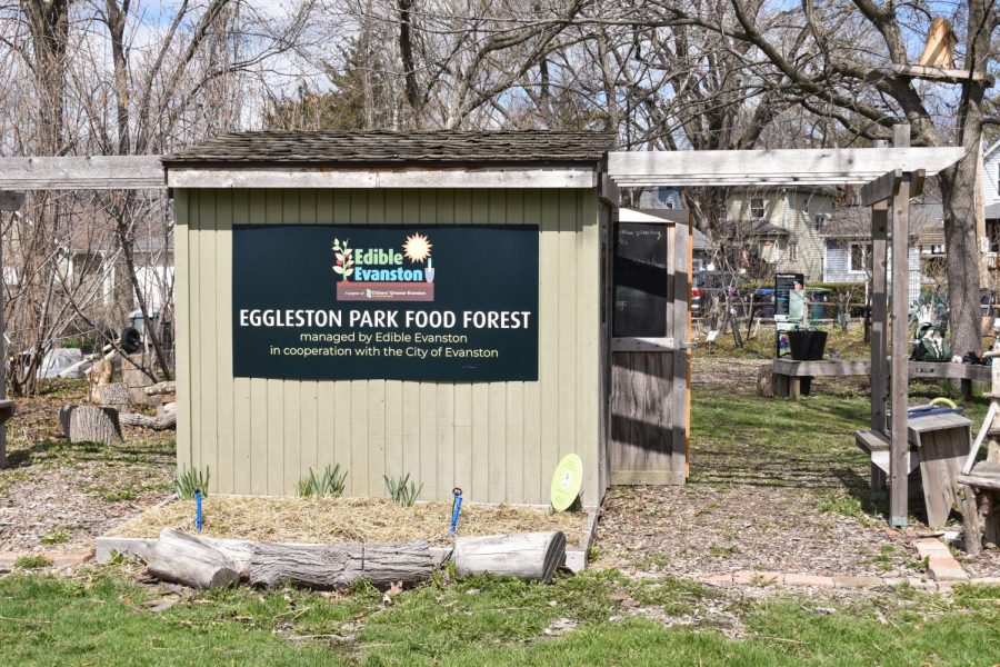 A tan shed with signage reading “Edible Evanston, Eggleston Park Food Forest” with more details. There are wooden beams and trees in the background.