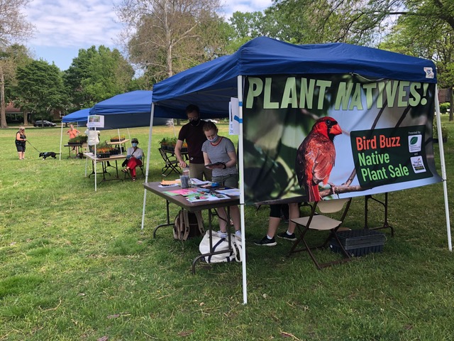 Three tents, one with a “Plant Natives!” banner, set up on a grassy field.