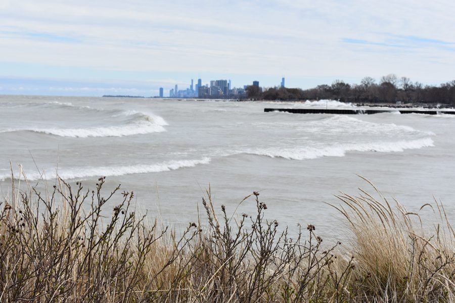 A view of the Evanston lakefront, with the Chicago skyline seen in the distance. Grasses wave softly in the breeze, while waves crash onto the shore.