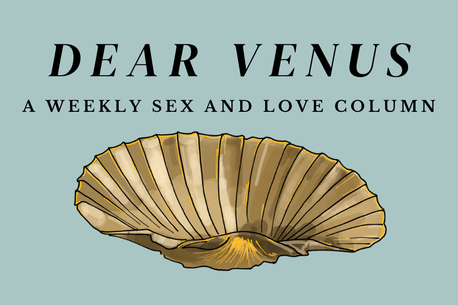Blue background with large shell underneath the words “Dear Venus a weekly sex and love column”
