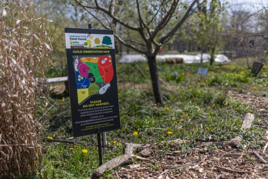 A picture of a sign in Eggleston Park identifying it as a “food forest” with a map of available produce growing in the garden.
