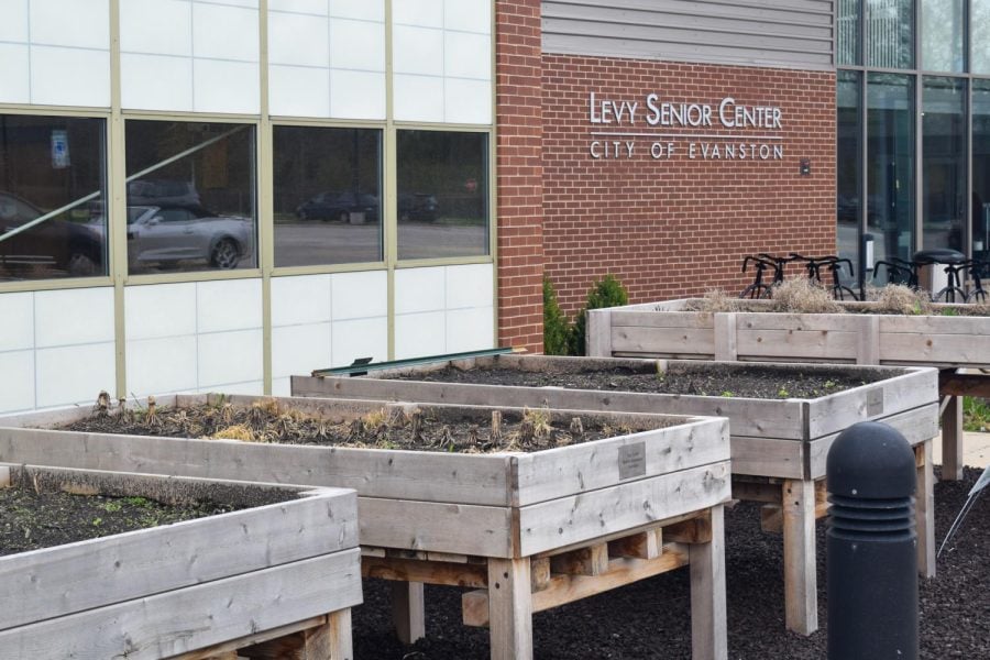 The original garden beds at the Levy Senior Center are raised, making them accessible for seniors and those in wheelchairs.
