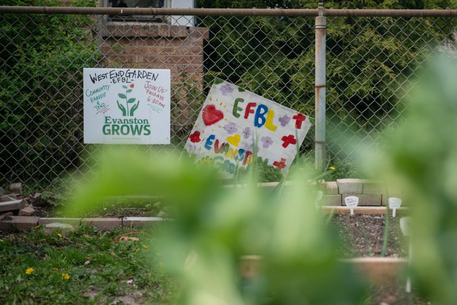 Two signs in the ground, with messaging about West End Garden, Evanston Grows and Evanston Fight for Black Lives.