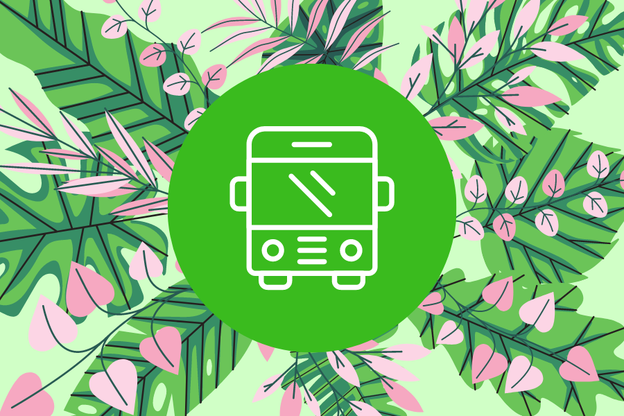 A green circle with an icon of a bus. Its surrounded by pink and green leaves.