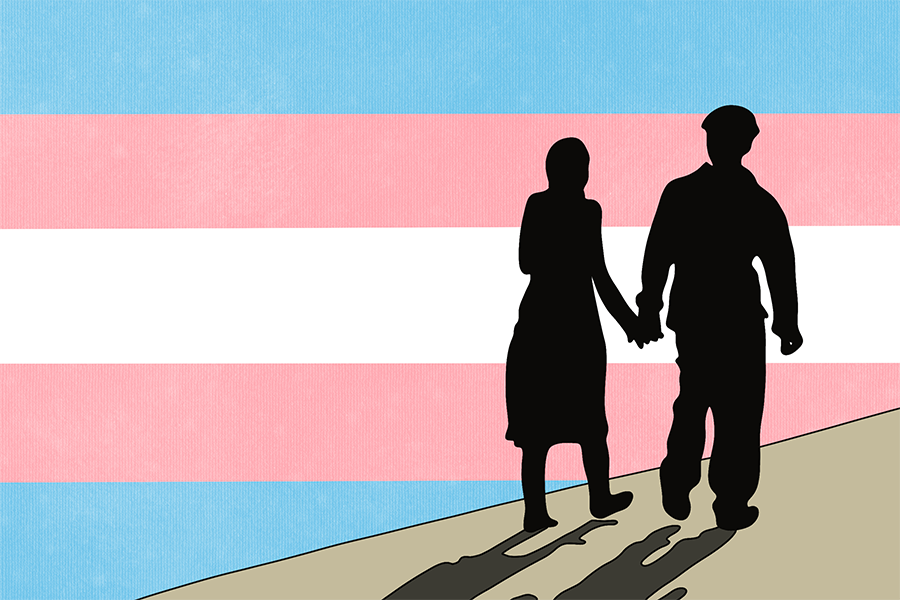 The silhouette of two people walking while holding hands. The trans flag is in the background with the colors baby blue, light pink and white.