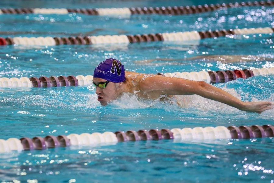 A man wearing a purple swim cap with an “N” on it swims butterfly in a pool.