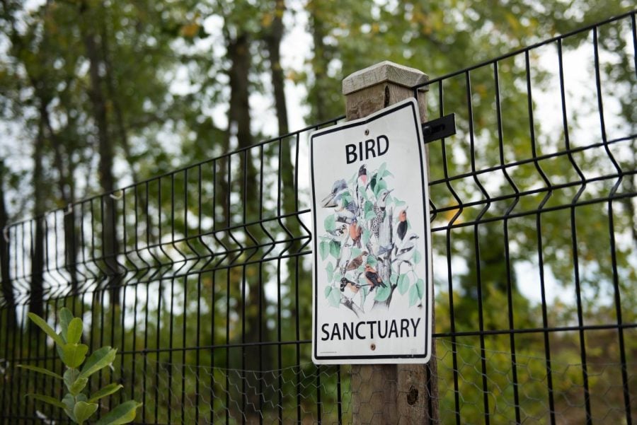 A+bird+sanctuary+sign+on+a+fence+in+front+of+a+green+area.