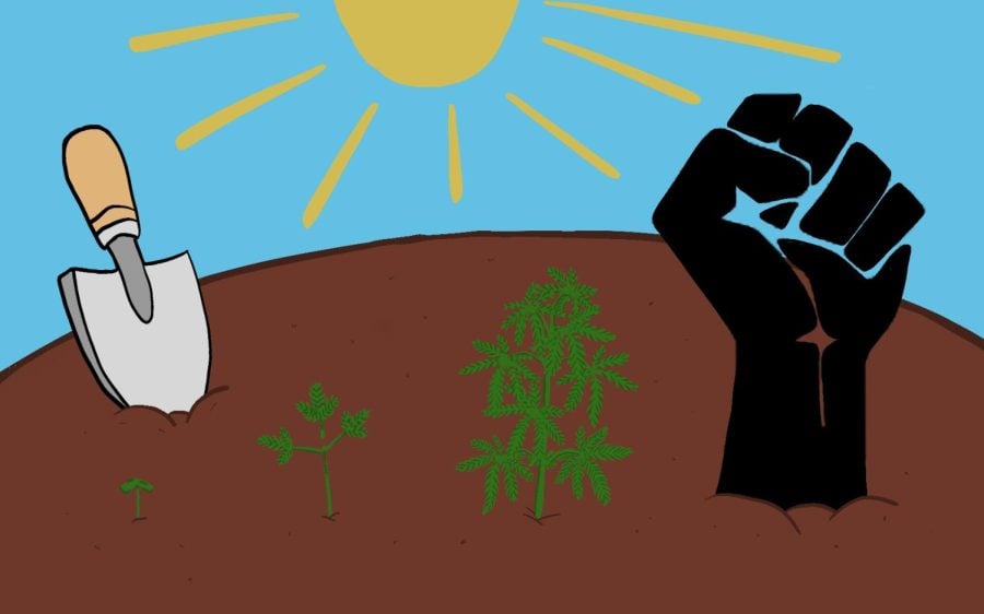 A mound of dirt under a blue sky with cannabis plants growing, alongside a shovel and a fist.