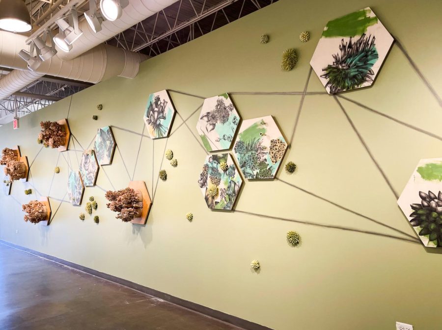 A light green wall with hexagonal canvases with paintings of flora on them.