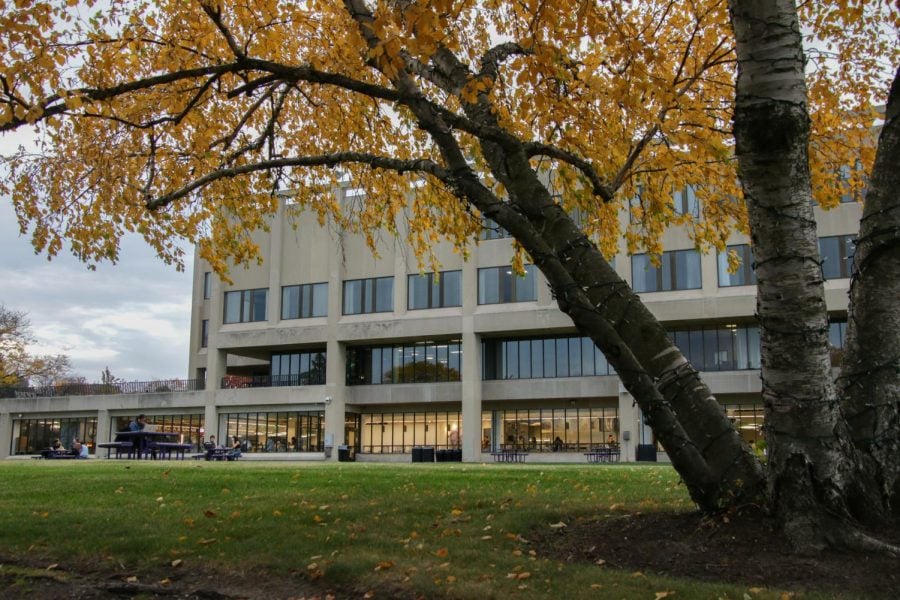 A tree stands before a building with panels of windows lining its facade with grass filling the bottom of the picture.