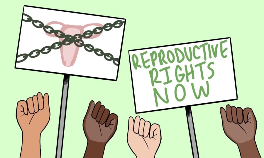 Illustration of two abortion rights signs with fists raised upward against a green background.