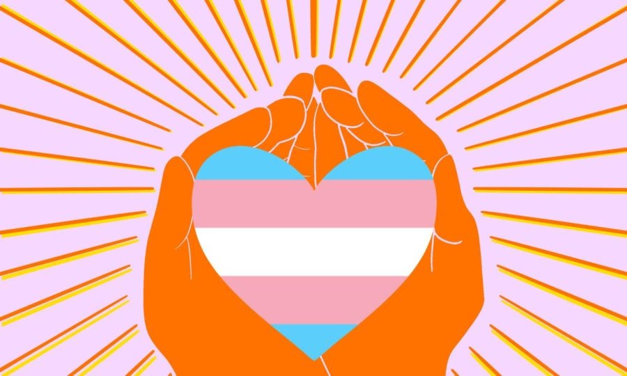 A blue, white and pink flag heart is held in the palms of orange hands. There are beams of orange-and-yellow light radiating from the hands with a pink background.