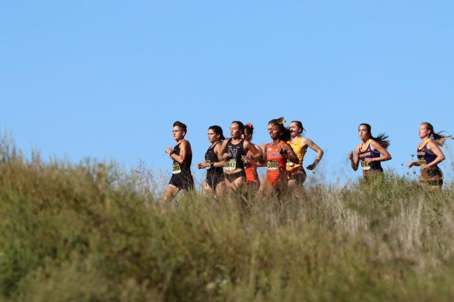 Women in jerseys run in a field during a cross country meet.