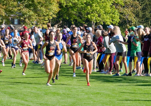 A runner competes in a cross country meet.
