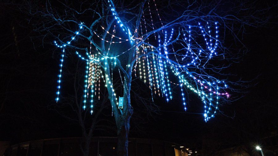 Lights that are different shades of blue hang from a tree.