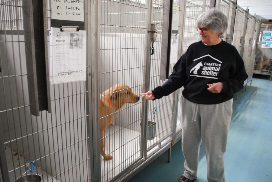 A person holds a treat to a dog in a cage.