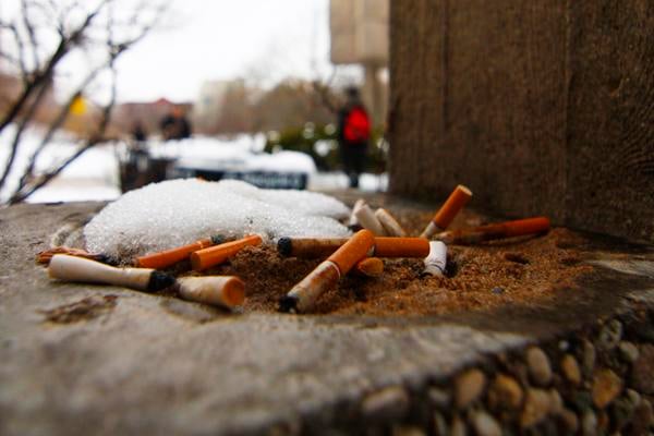 Used cigarettes lying on snowy ground.