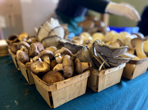 Multiple baskets of mushrooms sit on a table 