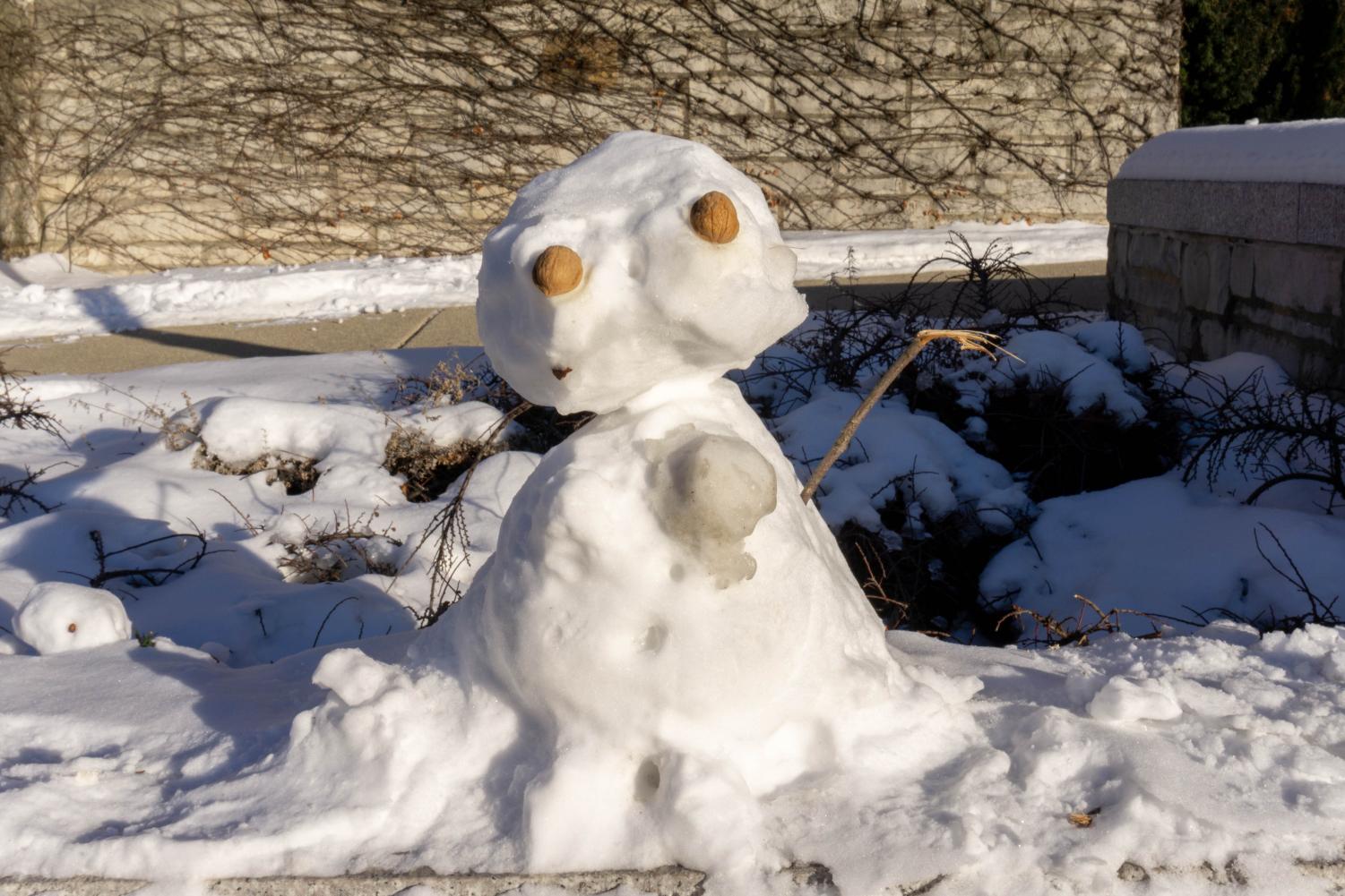 A small snowman with walnuts for eyes.