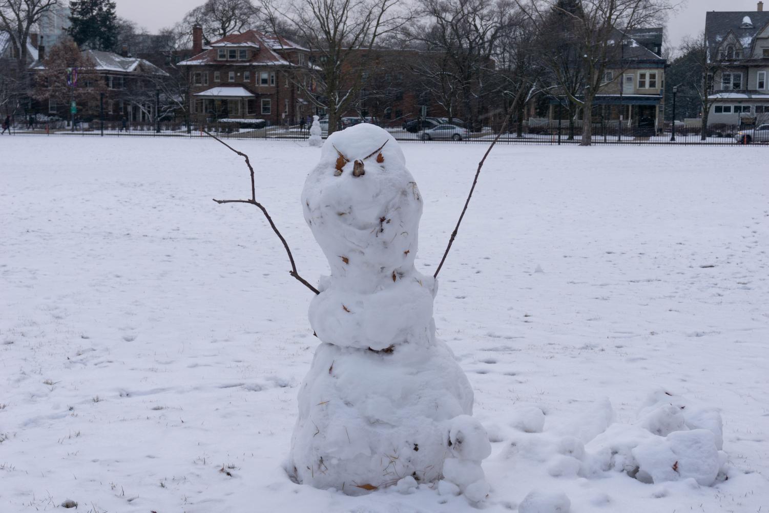 A snowman with sticks for arms and leaves for eyes.